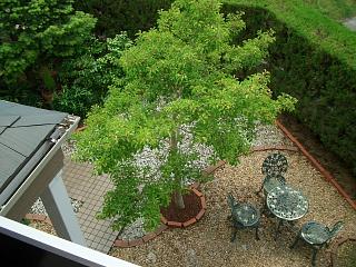 f0010925_13511253.jpg