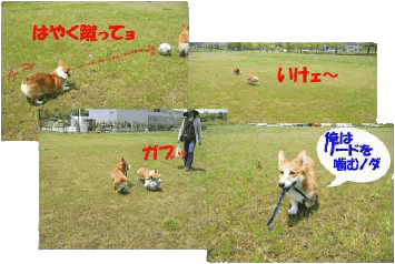 e0077528_18213310.gif