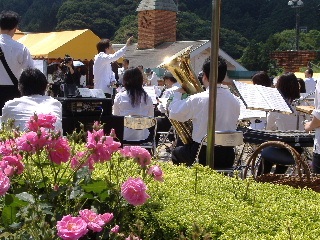 バラの丘フェスタ_f0082141_22201822.jpg
