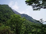 d0048350_21345673.jpg