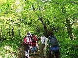d0048350_21351814.jpg
