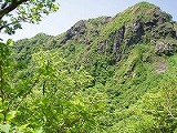 d0048350_21384420.jpg