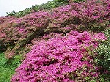d0048350_21413739.jpg