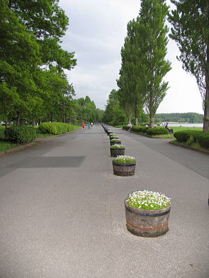 またまた「水元公園」へ～♪_f0017469_9351344.jpg