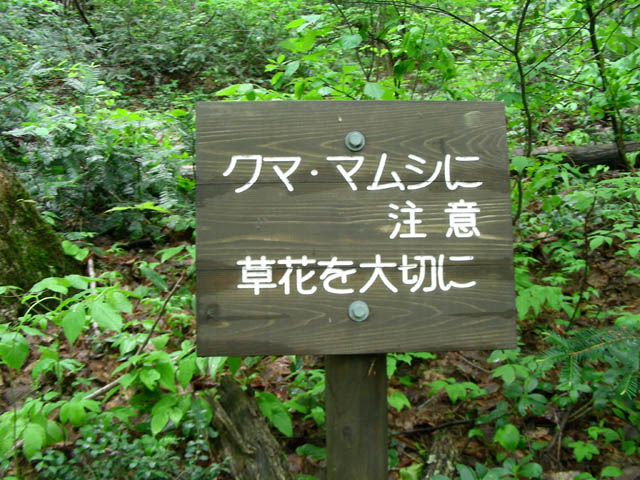 e0052074_1413376.jpg