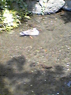 c0064381_22412861.jpg