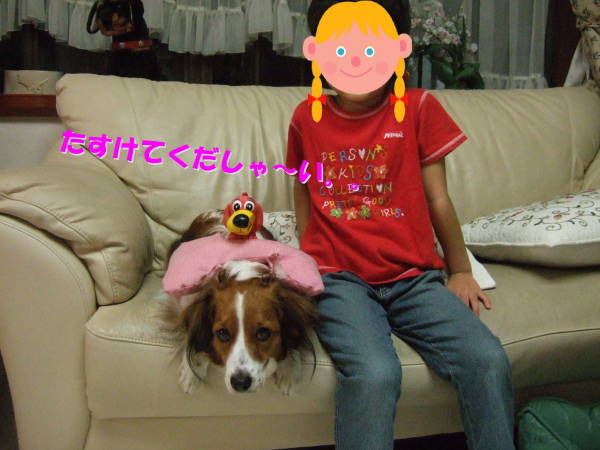 c0075585_1155931.jpg
