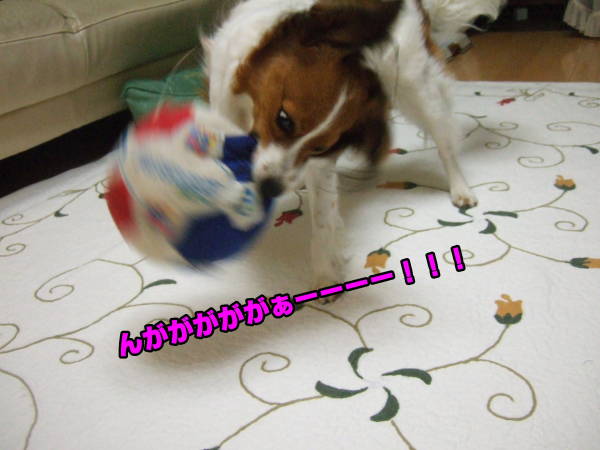 c0075585_1252251.jpg