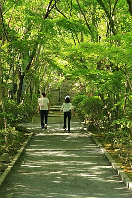 神峰山寺で”にらめっこ”_f0073587_2227299.jpg