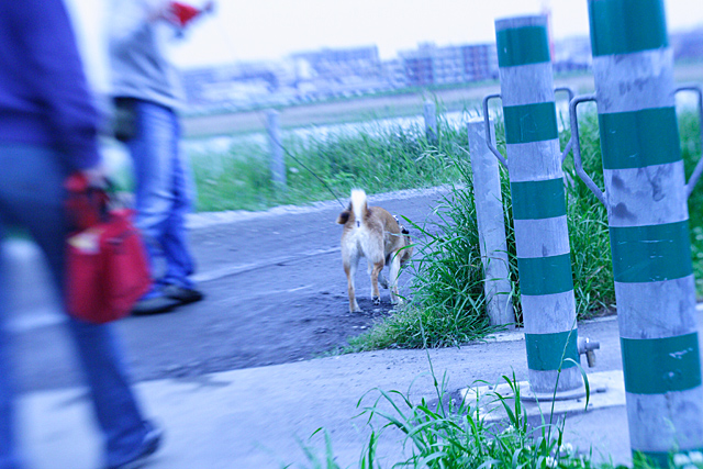 レンズベビーでＧＯ！ 2005/05/21_f0031398_2222375.jpg