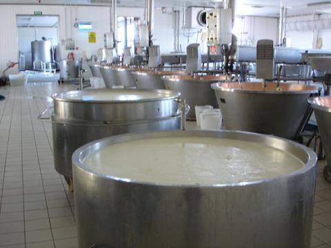 Parmigiano-Reggiano_d0006400_241327.jpg