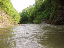 b0074601_21383994.jpg