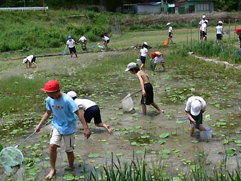 ５月２２日　自然観察の場_b0086508_22473938.jpg