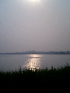 f0030408_03127.jpg
