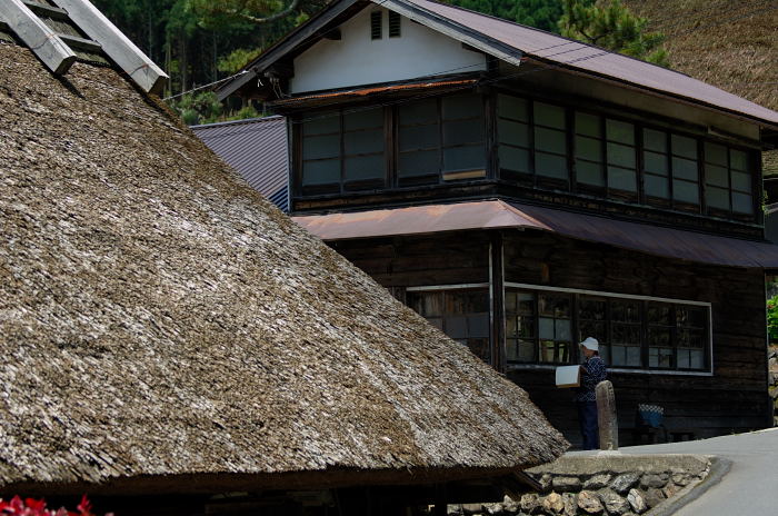 美山茅葺きの里・初夏景色_f0032011_2143479.jpg