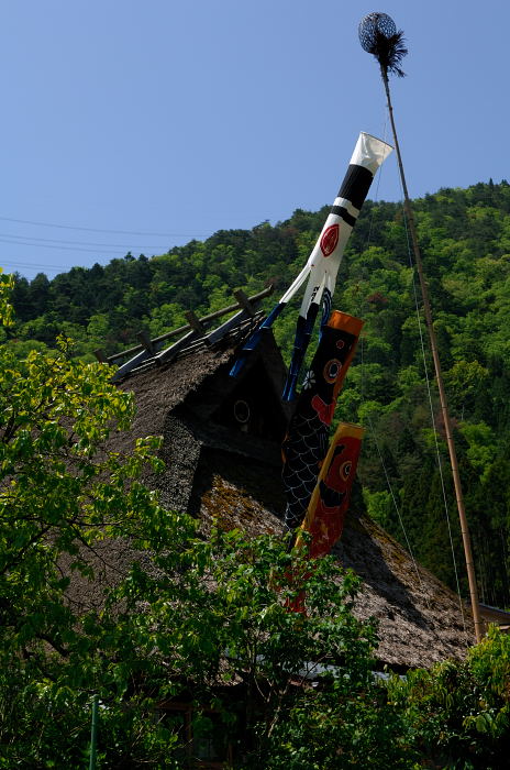 美山茅葺きの里・初夏景色_f0032011_21442358.jpg