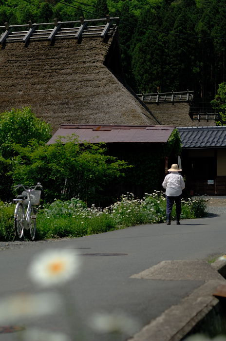 美山茅葺きの里・初夏景色_f0032011_21445268.jpg