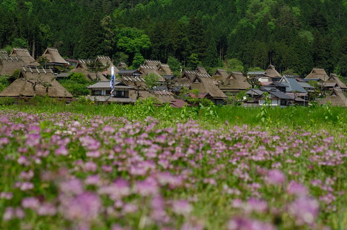 美山茅葺きの里・初夏景色_f0032011_21452984.jpg