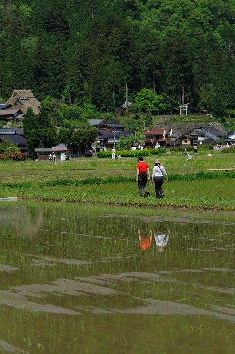 美山茅葺きの里・初夏景色_f0032011_21454630.jpg