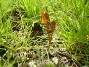 c0047812_04949.jpg