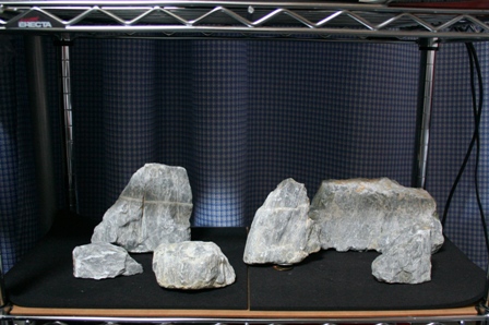 a0062959_1741591.jpg