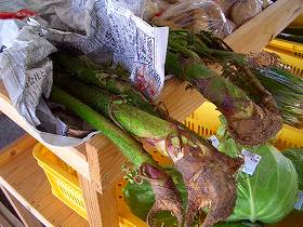 f0098360_1553729.jpg
