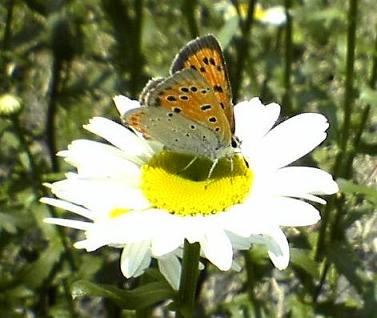 e0045768_22482273.jpg