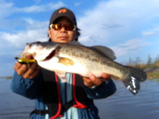 釣果速報_a0040876_2232135.jpg