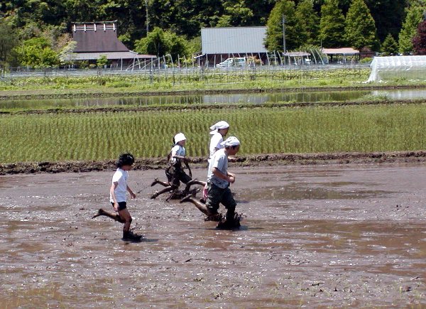 泥んこ競争_c0057390_23374360.jpg