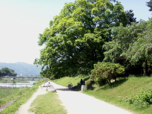 f0019891_2345822.jpg