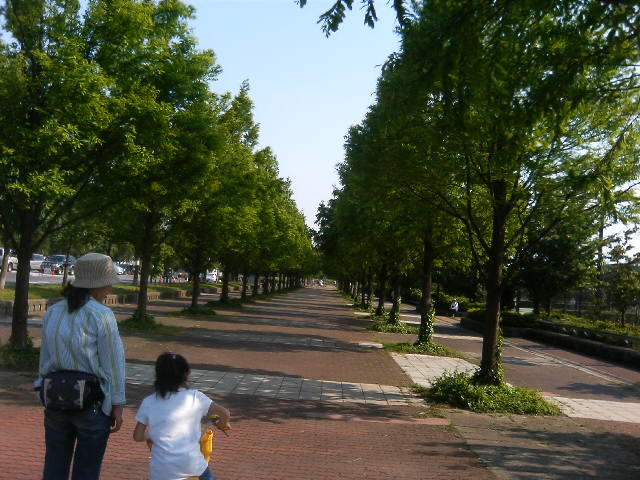 公園で自転車の特訓_b0089492_0242488.jpg