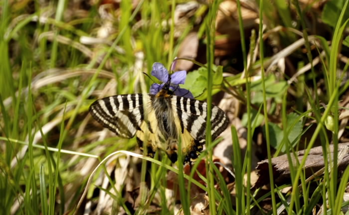 b0078795_1075494.jpg