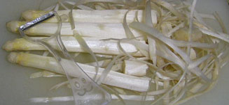 Spargel (白アスパラ)_a0047200_2081063.jpg