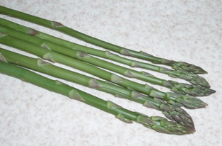 a0054700_0321237.jpg