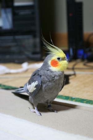 a0024504_2044217.jpg