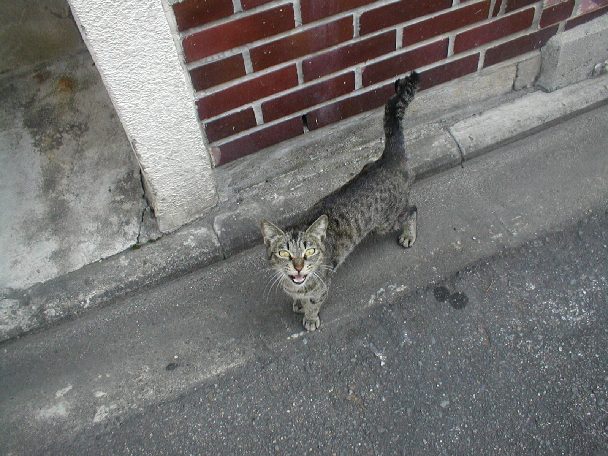 古本屋の端くれからミュージシャンの端くれへ？_c0063108_2181940.jpg