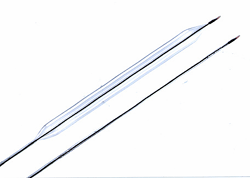 a0055913_035010.gif