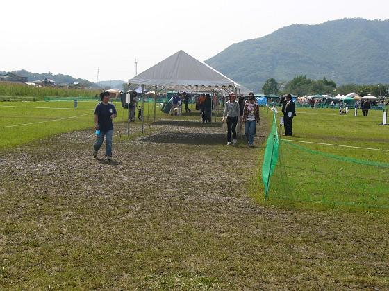 b0075541_023999.jpg