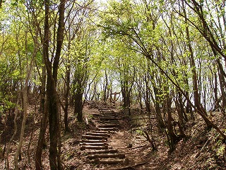 d0048350_191243.jpg