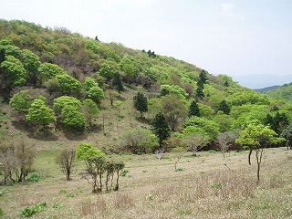 d0048350_1922118.jpg