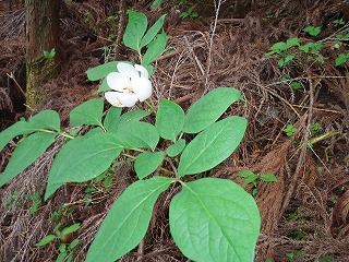 d0048350_1925047.jpg