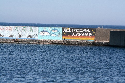f0000866_62115.jpg