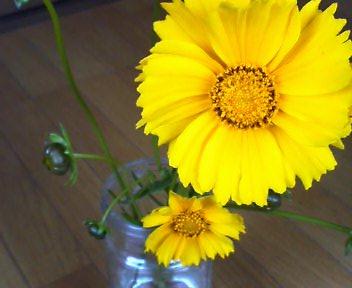 212_b0079097_16181970.jpg