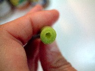 f0043911_0484421.jpg