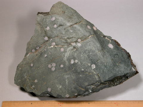d0045626_2352789.jpg