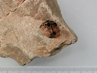 d0045626_2372827.jpg