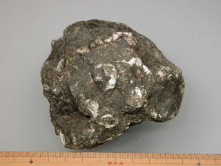d0045626_2391291.jpg