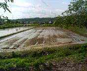 f0085327_9282490.jpg