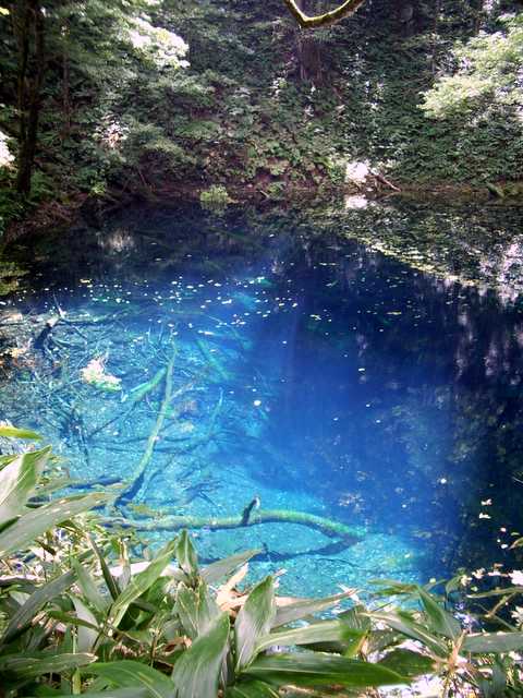 添乗紀 白神山地 青森十二湖 Oldcab