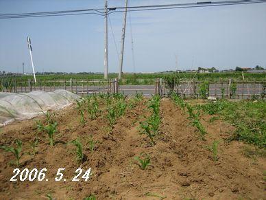 f0002750_18325793.jpg